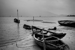 20221211-0950_IMG_9823