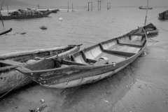 20221211-0951_IMG_9826