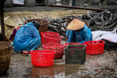 20221211-0951_IMG_9827