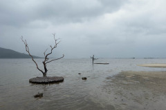 20221211-0953_IMG_9833