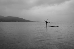 20221211-0954_IMG_9835