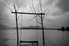 20221211-0956_IMG_9843