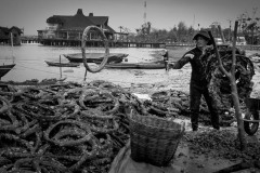 20221211-0959_IMG_9848