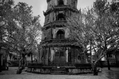 20221211-1600_IMG_9928