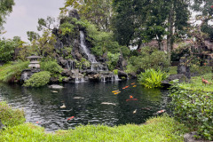 20221211-1607_IMG_9932