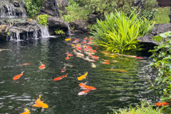 20221211-1607_IMG_9933