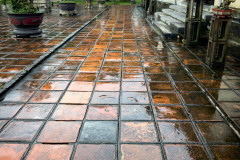 20221211-1609_IMG_9937