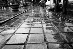 20221211-1609_IMG_9938