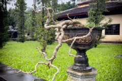 20221211-1614_IMG_9940