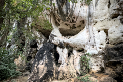 20230104-1643_IMG_2222