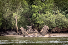 20230104-1711_IMG_2245