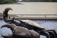 20230104-1738_IMG_2262