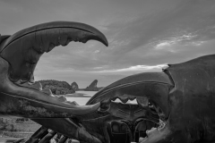 20230104-1738_IMG_2263