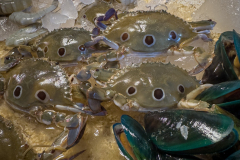 20230104-1742_IMG_2267