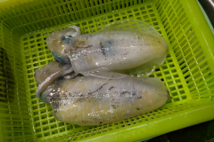 20230106-1916_IMG_2367