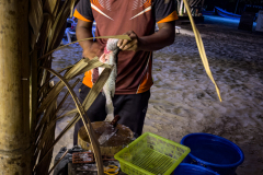 20230106-1923_IMG_2373