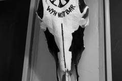 20230106-1934_IMG_2378