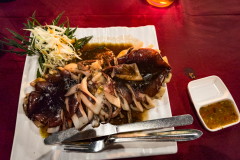 20230106-2016_IMG_2379