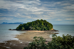 20230106-1648_IMG_2330