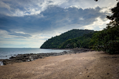 20230106-1700_IMG_2332