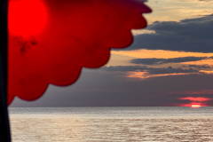 20230106-1818_IMG_2355