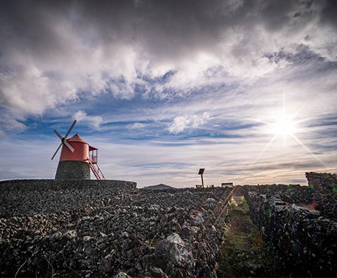 Acores: Pico & Sao Miguel